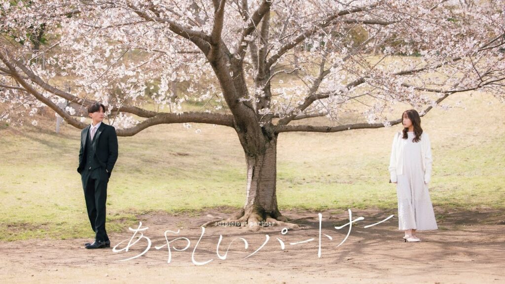 あやしいパートナー 配信時間と放送日でみる話題作